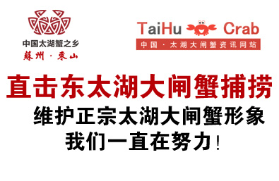 直击东太湖大闸蟹捕捞